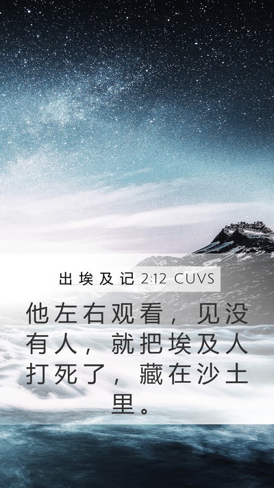 出 埃 及 记 2:12 CUVS Bible Verse Image