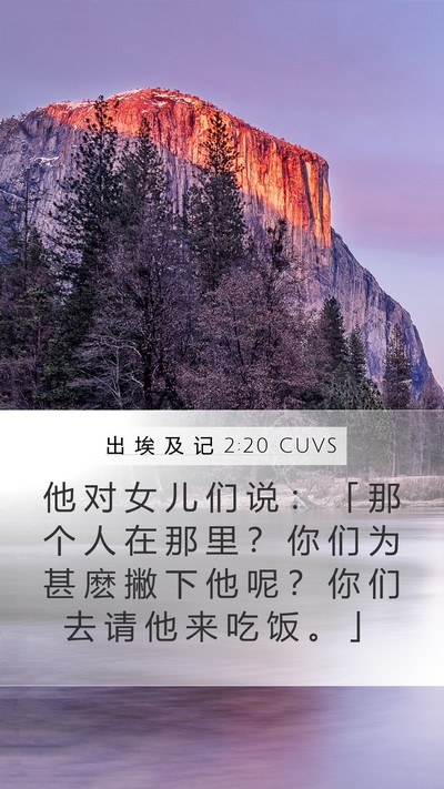 出 埃 及 记 2:20 CUVS Mobile Phone Wallpaper - 他 对 女 儿 们 说 ： 「 那 个 人 在 - Mobile Bible Verse Wallpaper