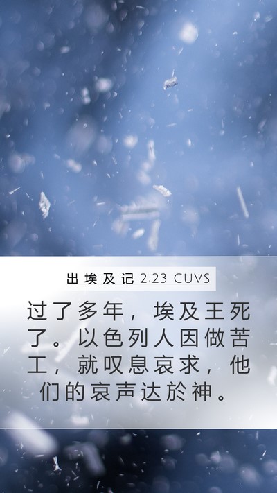 出 埃 及 记 2:23 CUVS Bible Verse Image