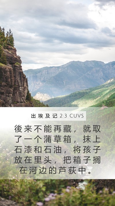 出 埃 及 记 2:3 CUVS Bible Verse Image