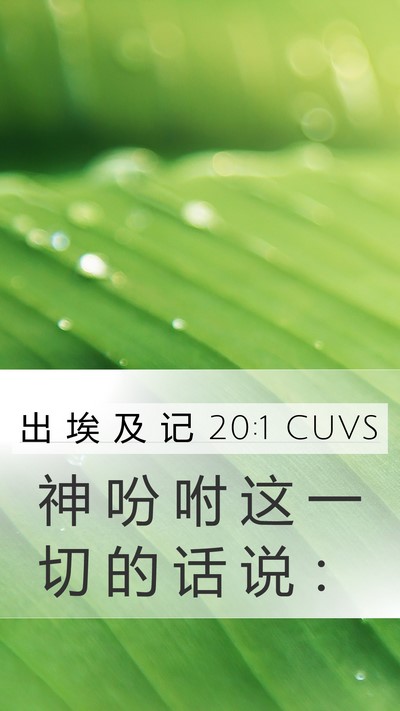 出 埃 及 记 20:1 CUVS Bible Verse Image