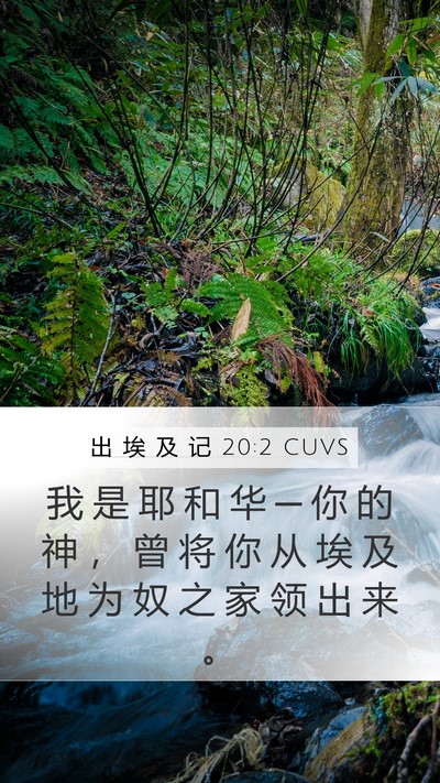 出 埃 及 记 20:2 CUVS Bible Verse Image