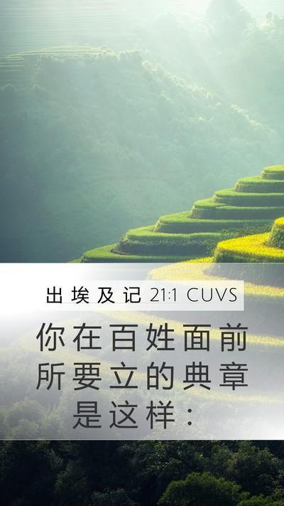 出 埃 及 记 21:1 CUVS Bible Verse Image
