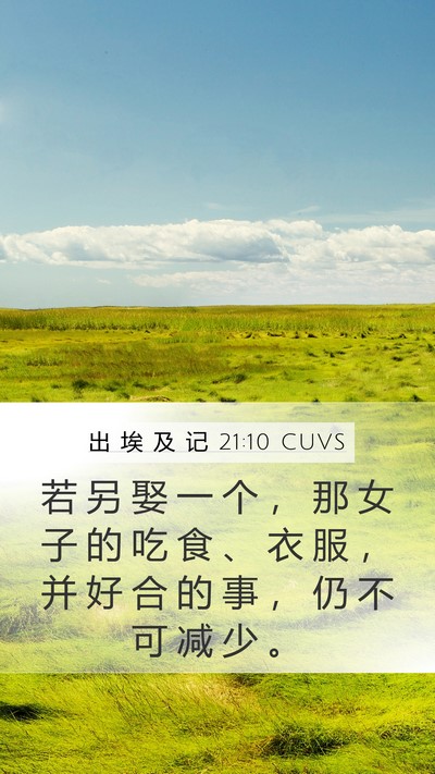 出 埃 及 记 21:10 CUVS Bible Verse Image