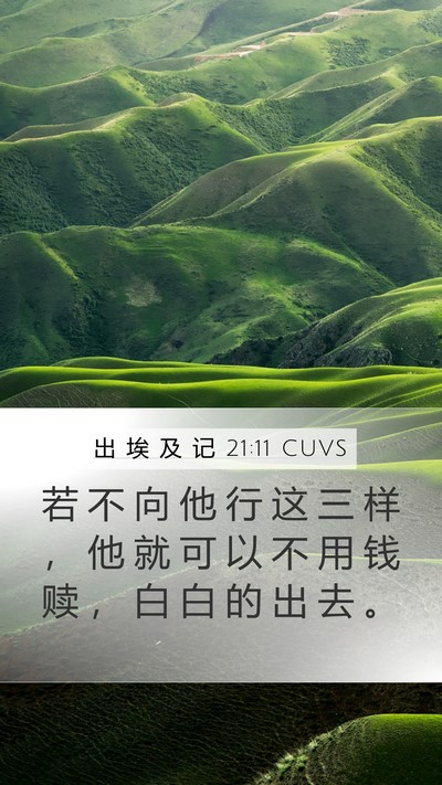 出 埃 及 记 21:11 CUVS Mobile Phone Wallpaper - 若 不 向 他 行 这 三 样 ， 他 就 可 - Mobile Bible Verse Wallpaper