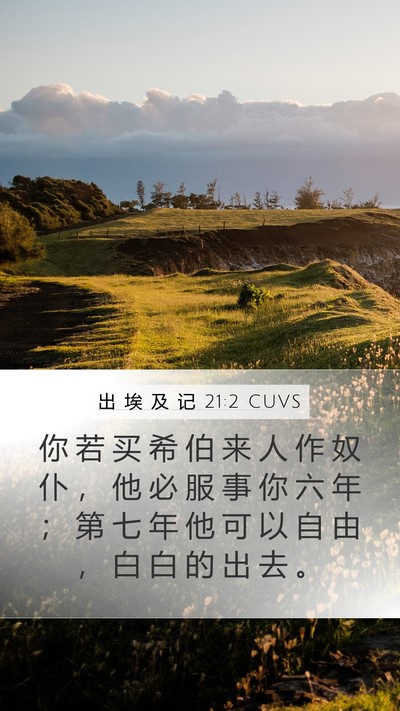 出 埃 及 记 21:2 CUVS Bible Verse Image