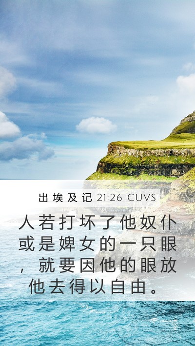 出 埃 及 记 21:26 CUVS Bible Verse Image