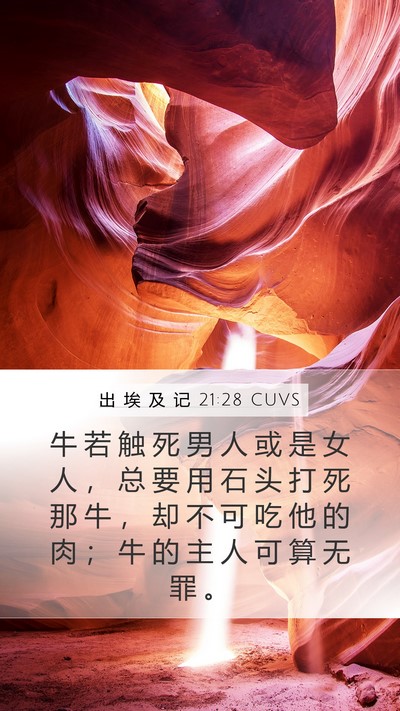 出 埃 及 记 21:28 CUVS Bible Verse Image
