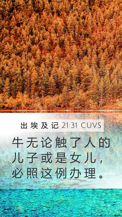 出 埃 及 记 21:31 CUVS Mobile Phone Wallpaper - 牛 无 论 触 了 人 的 儿 子 或 是 女 - Mobile Bible Verse Wallpaper
