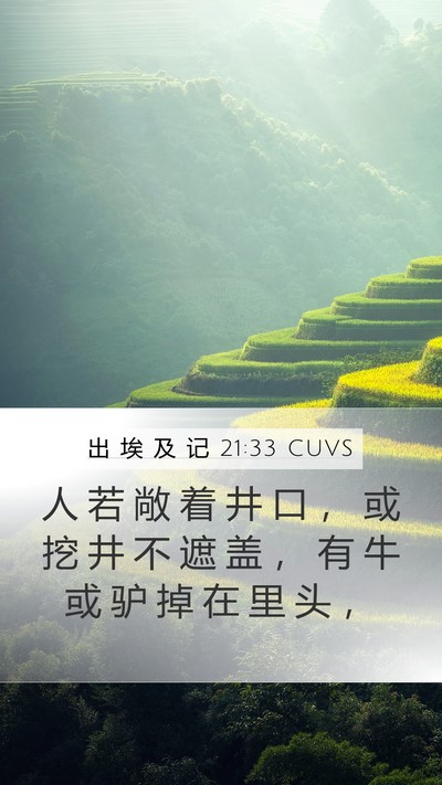 出 埃 及 记 21:33 CUVS Bible Verse Image