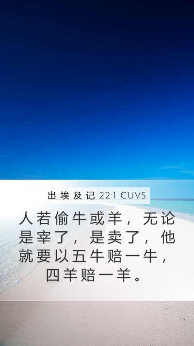 出 埃 及 记 22:1 CUVS Bible Verse Image