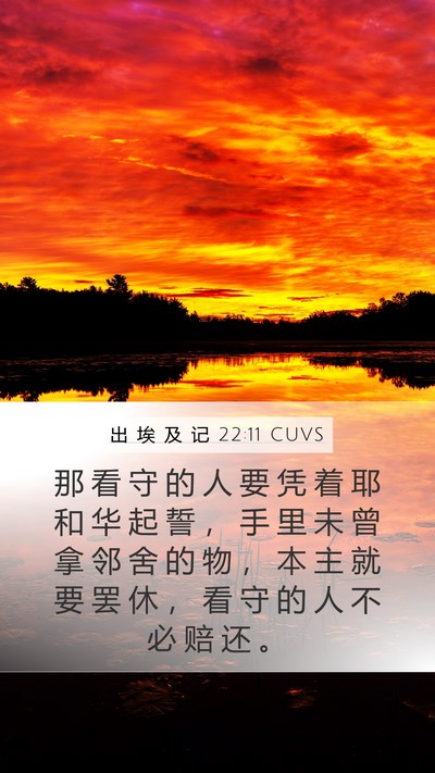 出 埃 及 记 22:11 CUVS Bible Verse Image