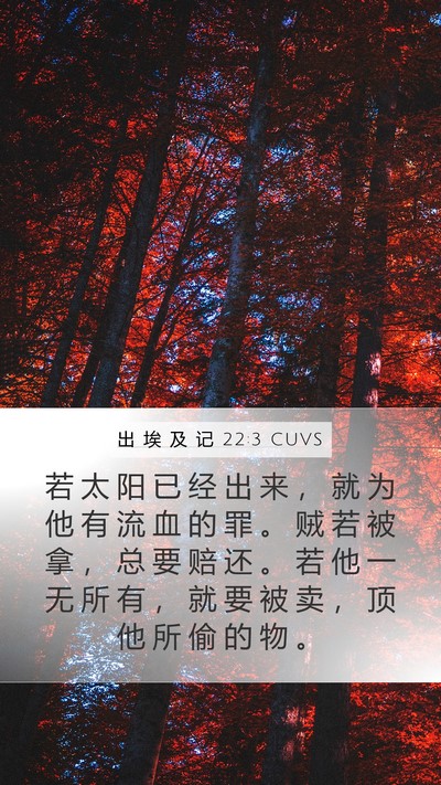 出 埃 及 记 22:3 CUVS Bible Verse Image