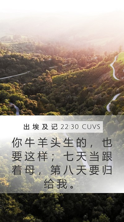 出 埃 及 记 22:30 CUVS Bible Verse Image
