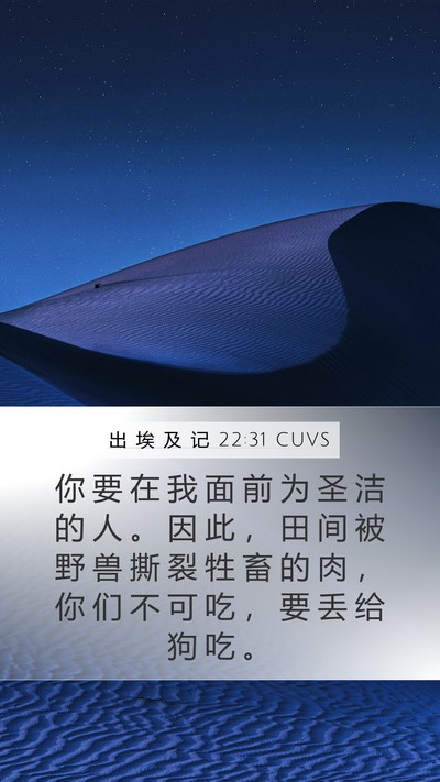 出 埃 及 记 22:31 CUVS Bible Verse Image