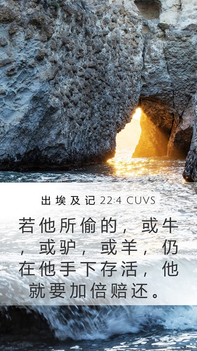 出 埃 及 记 22:4 CUVS Bible Verse Image