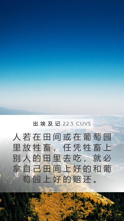 出 埃 及 记 22:5 CUVS Mobile Phone Wallpaper - 人 若 在 田 间 或 在 葡 萄 园 里 放 - Mobile Bible Verse Wallpaper