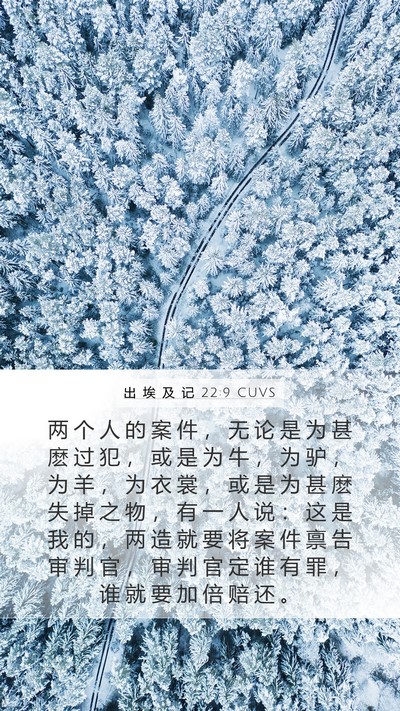 出 埃 及 记 22:9 CUVS Bible Verse Image