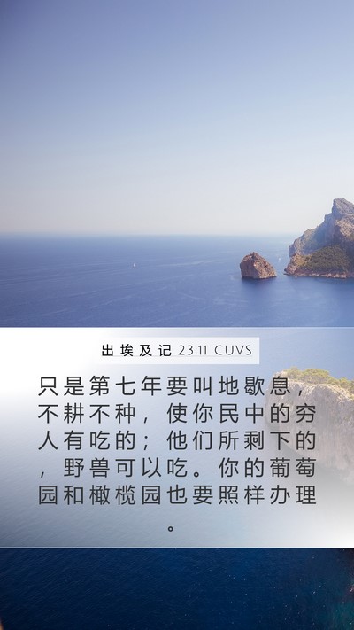 出 埃 及 记 23:11 CUVS Bible Verse Image