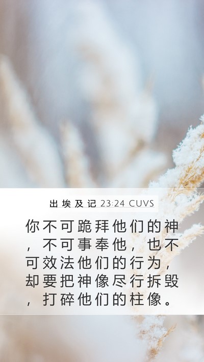 出 埃 及 记 23:24 CUVS Bible Verse Image