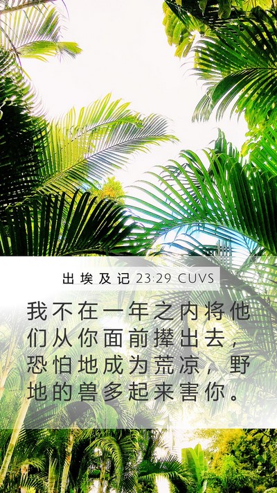 出 埃 及 记 23:29 CUVS Bible Verse Image
