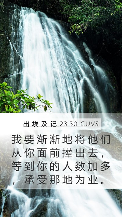 出 埃 及 记 23:30 CUVS Bible Verse Image
