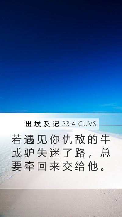出 埃 及 记 23:4 CUVS Bible Verse Image