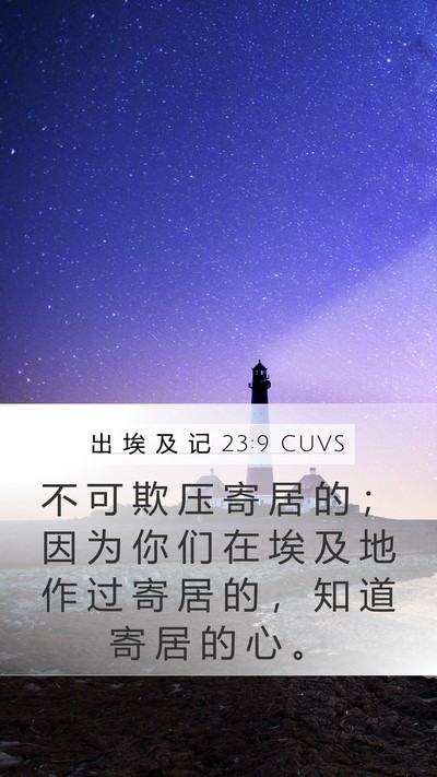 出 埃 及 记 23:9 CUVS Bible Verse Image