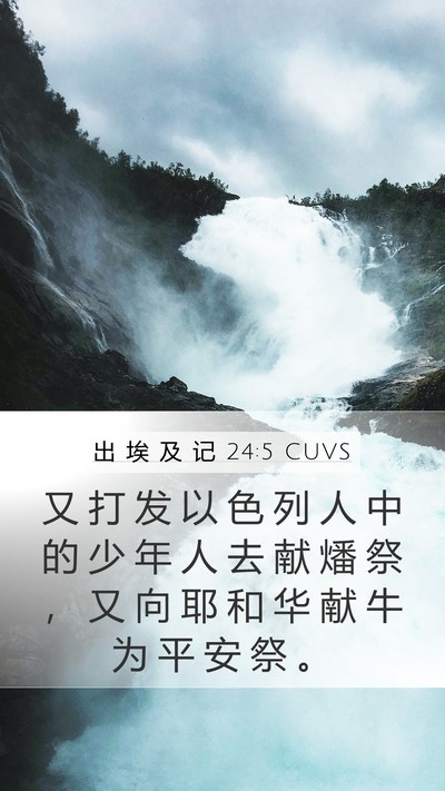 出 埃 及 记 24:5 CUVS Bible Verse Image