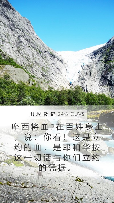 出 埃 及 记 24:8 CUVS Bible Verse Image