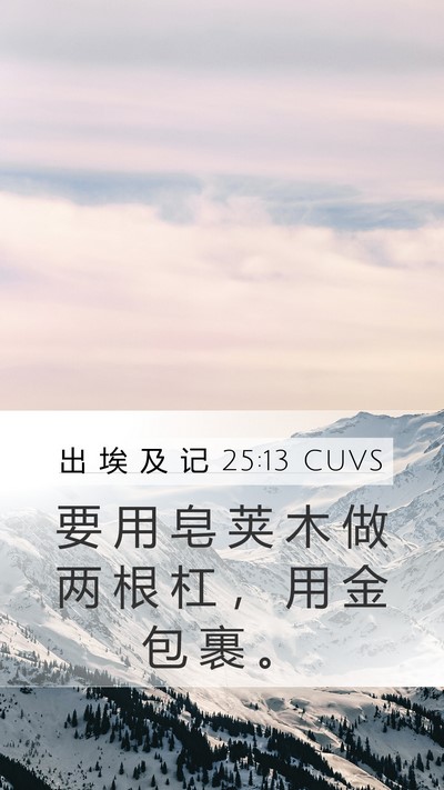 出 埃 及 记 25:13 CUVS Bible Verse Image