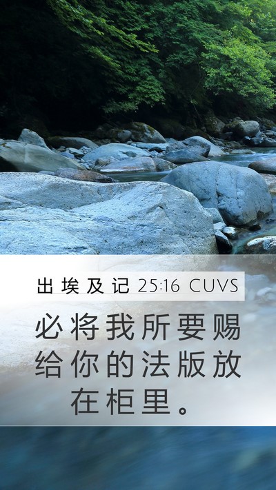 出 埃 及 记 25:16 CUVS Bible Verse Image