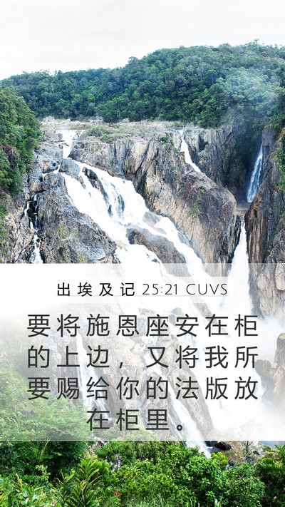 出 埃 及 记 25:21 CUVS Bible Verse Image