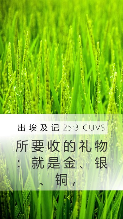 出 埃 及 记 25:3 CUVS Mobile Phone Wallpaper - 所 要 收 的 礼 物 ： 就 是 金 、 银 - Mobile Bible Verse Wallpaper