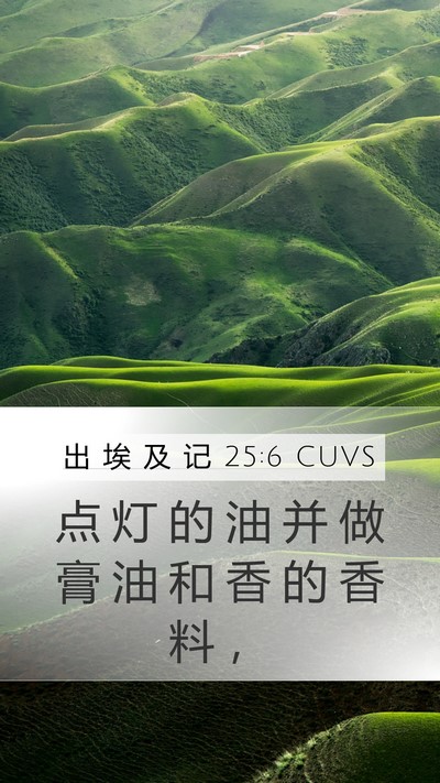 出 埃 及 记 25:6 CUVS Bible Verse Image