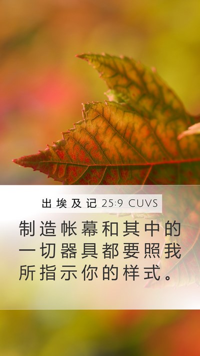 出 埃 及 记 25:9 CUVS Bible Verse Image
