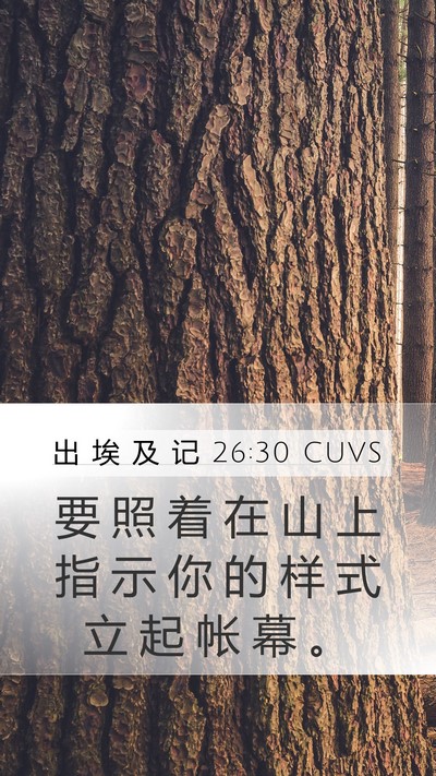 出 埃 及 记 26:30 CUVS Bible Verse Image