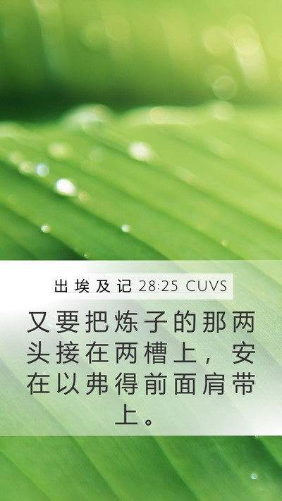 出 埃 及 记 28:25 CUVS Bible Verse Image