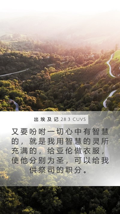 出 埃 及 记 28:3 CUVS Bible Verse Image