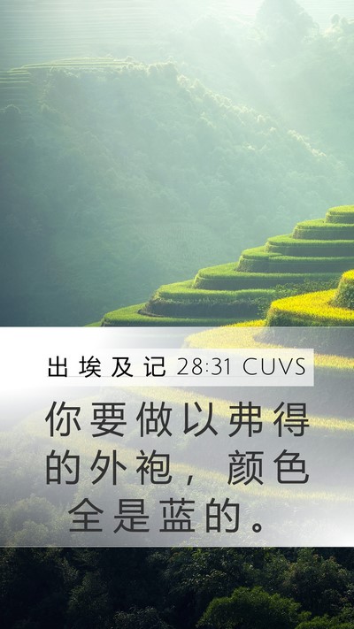 出 埃 及 记 28:31 CUVS Mobile Phone Wallpaper - 你 要 做 以 弗 得 的 外 袍 ， 颜 色 - Mobile Bible Verse Wallpaper