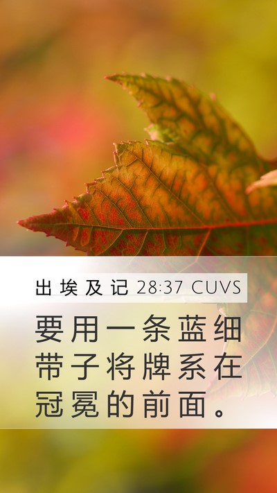 出 埃 及 记 28:37 CUVS Mobile Phone Wallpaper - 要 用 一 条 蓝 细 带 子 将 牌 系 在 - Mobile Bible Verse Wallpaper
