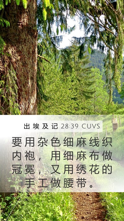 出 埃 及 记 28:39 CUVS Bible Verse Image