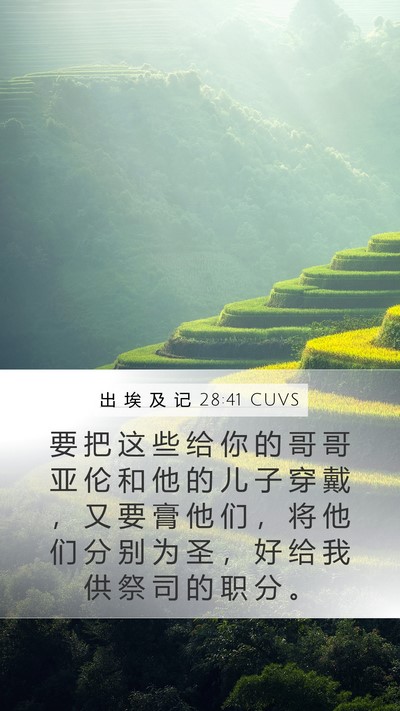 出 埃 及 记 28:41 CUVS Bible Verse Image