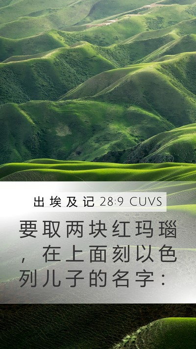 出 埃 及 记 28:9 CUVS Bible Verse Image