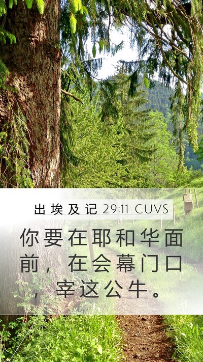 出 埃 及 记 29:11 CUVS Bible Verse Image