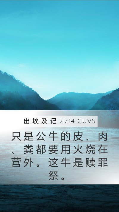 出 埃 及 记 29:14 CUVS Bible Verse Image