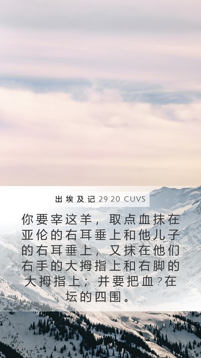 出 埃 及 记 29:20 CUVS Bible Verse Image