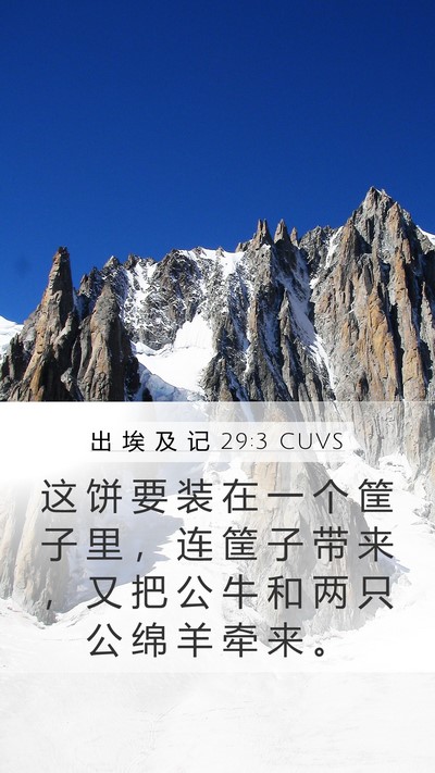 出 埃 及 记 29:3 CUVS Bible Verse Image
