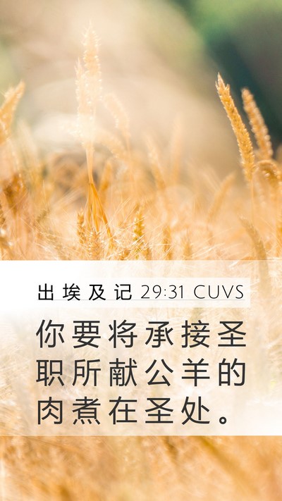 出 埃 及 记 29:31 CUVS Mobile Phone Wallpaper - 你 要 将 承 接 圣 职 所 献 公 羊 的 - Mobile Bible Verse Wallpaper