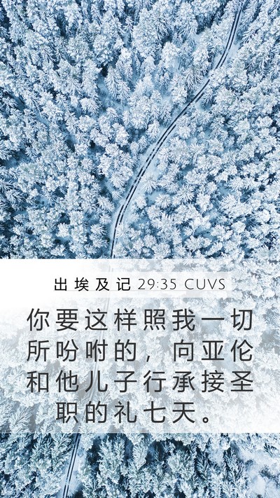 出 埃 及 记 29:35 CUVS Mobile Phone Wallpaper - 你 要 这 样 照 我 一 切 所 吩 咐 的 - Mobile Bible Verse Wallpaper